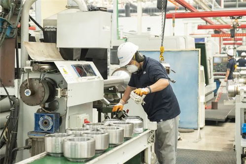 市领导回访薛家镇重点企业建设工程设计，推动区域经济高质量发展